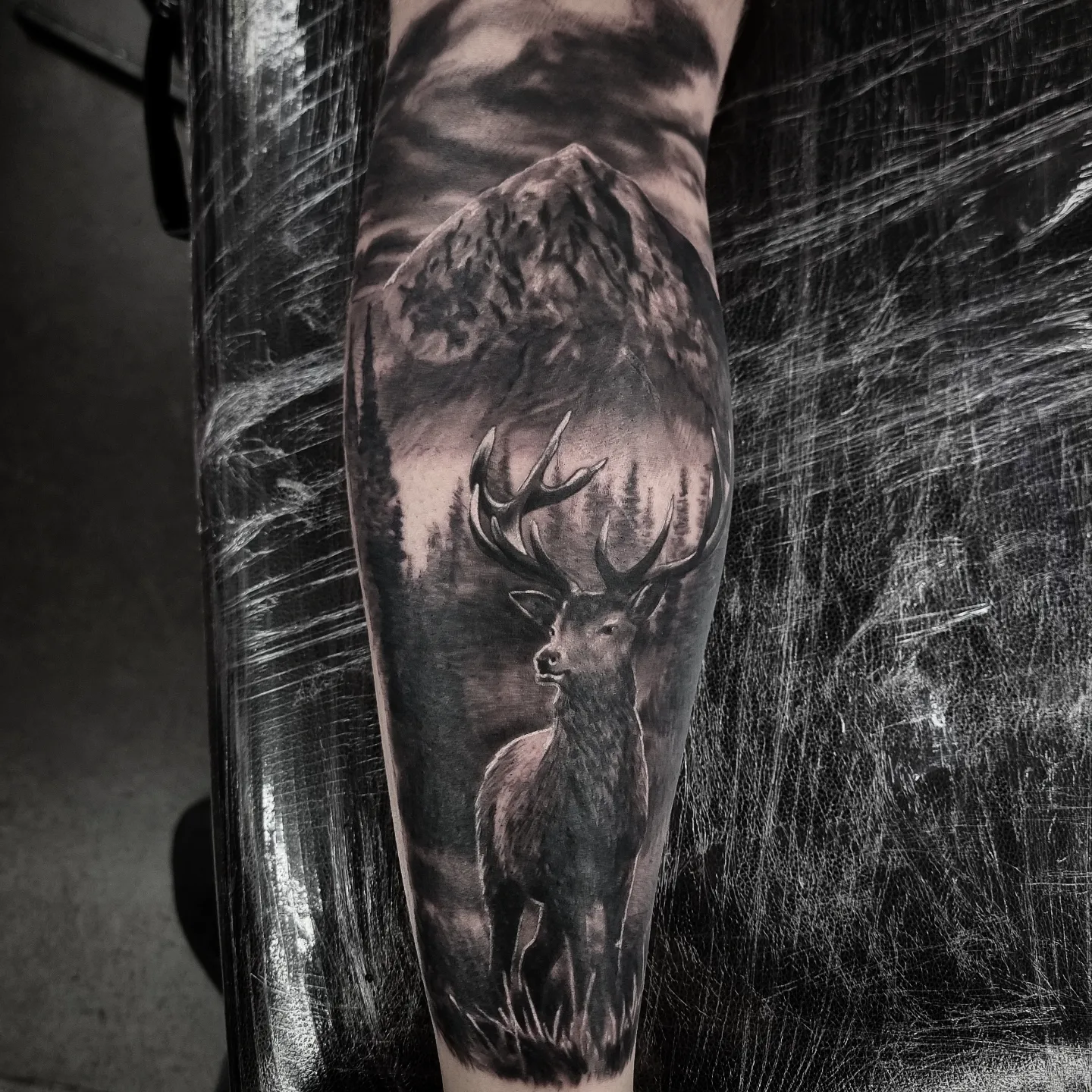 Photorealistic black and grey animal tattoo by Tomek Turlej, Studio XIII Gallery, Scotland