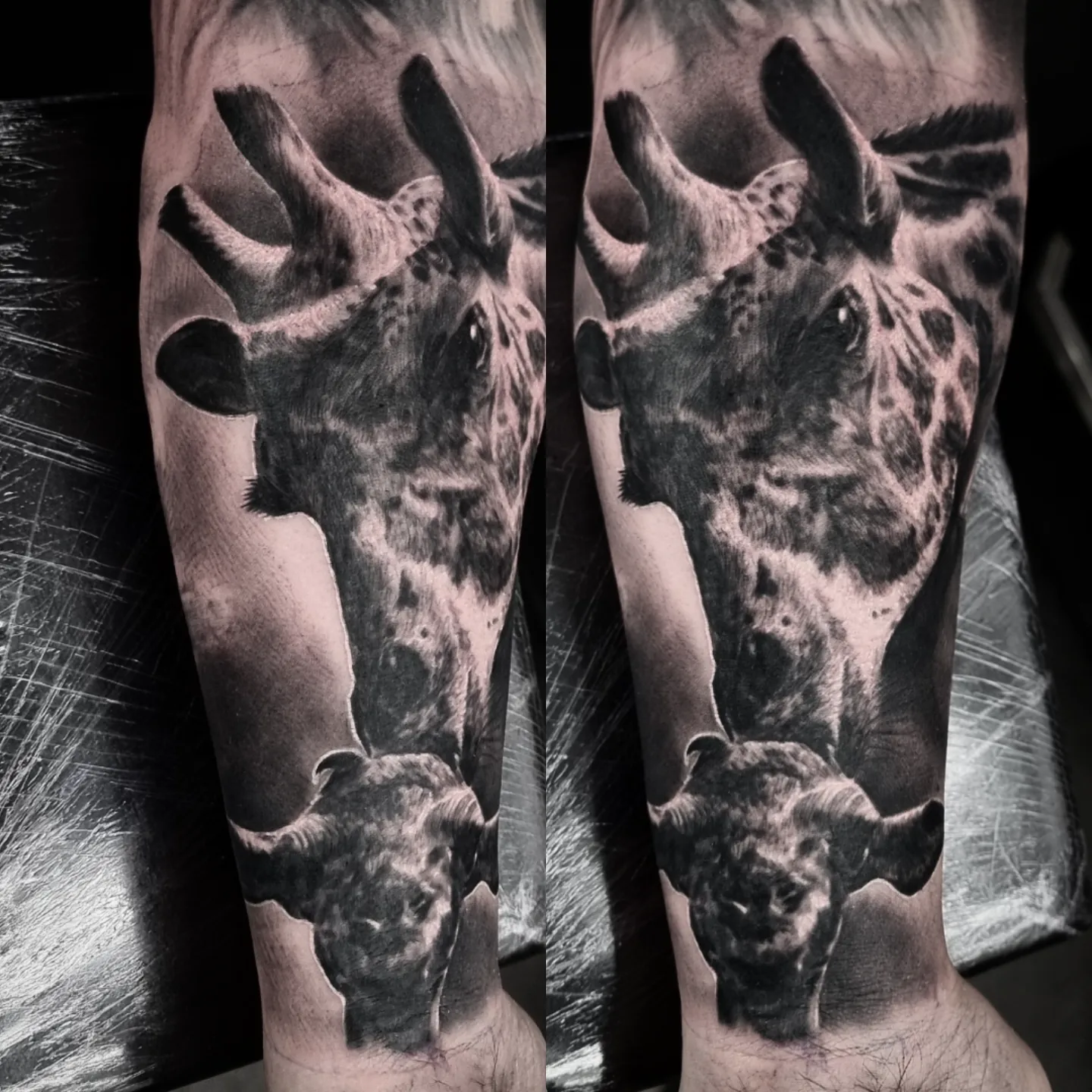 Photorealistic black and grey animal tattoo by Tomek Turlej, Studio XIII Gallery, Scotland