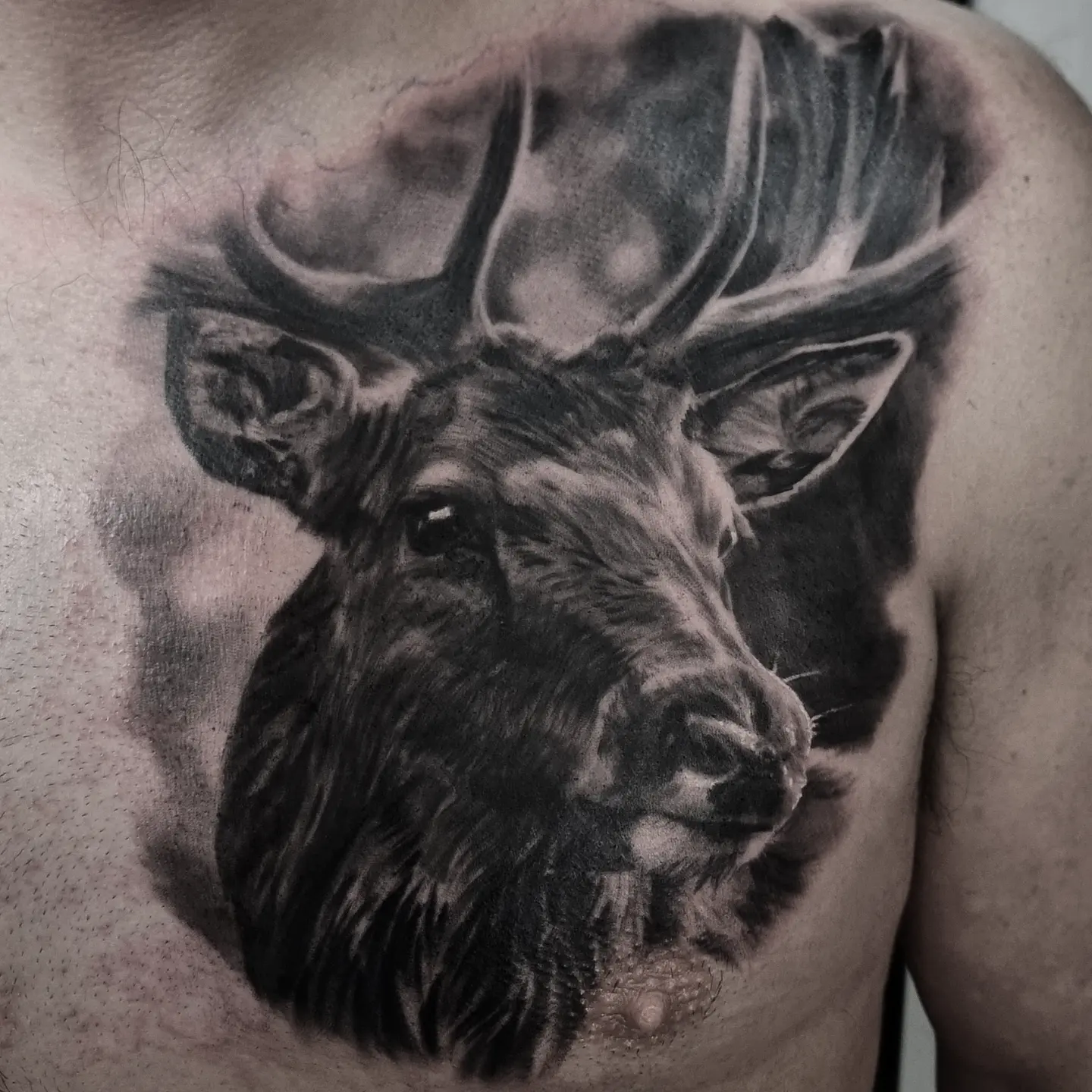 Fine detail black and grey animal tattoo, custom design by Edinburgh tattoo artist Tomek Turlej