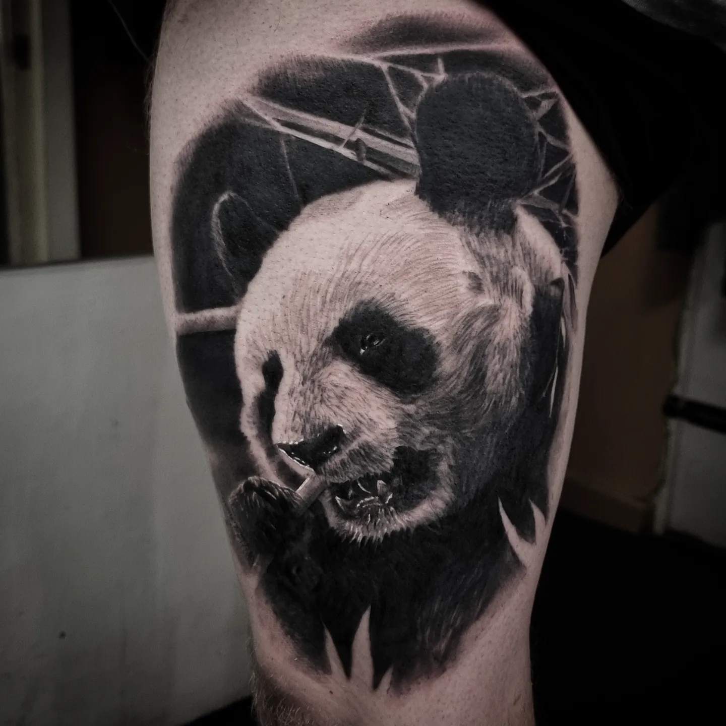 Photorealistic black and grey animal tattoo by Tomek Turlej, Studio XIII Gallery, Scotland