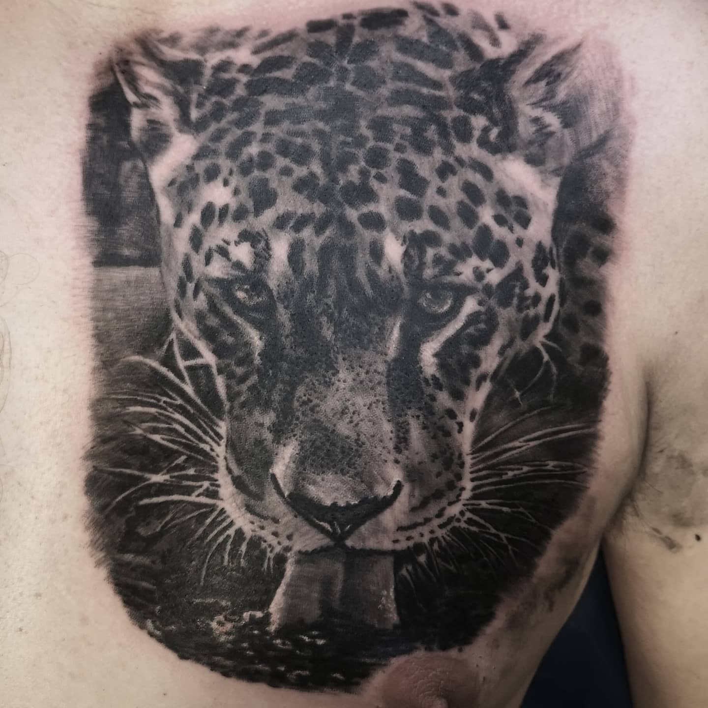 Black and grey realism animal tattoo by Tomek Turlej, tattoo artist in Edinburgh
