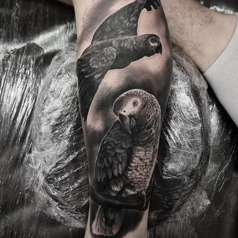 Realistic black and grey wildlife tattoo by Tomek Turlej at Studio XIII Gallery Edinburgh