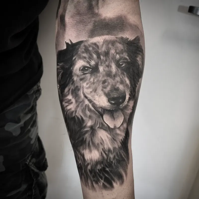 Photorealistic black and grey animal tattoo by Tomek Turlej, Studio XIII Gallery, Scotland
