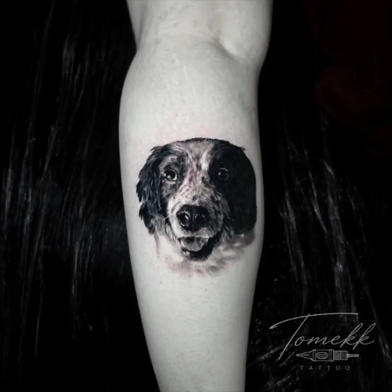 Black and grey realism pet portrait tattoo of a dog by Tomek Turlej, Edinburgh